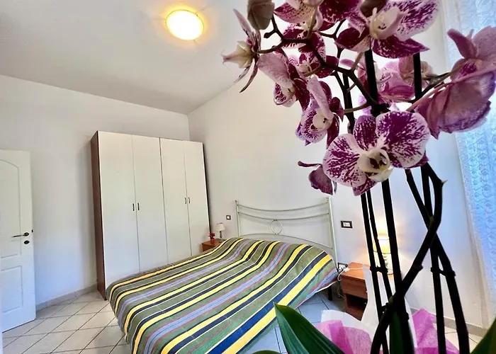 On The - В'яреджо