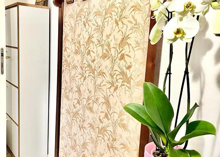 Апартаменти On The -